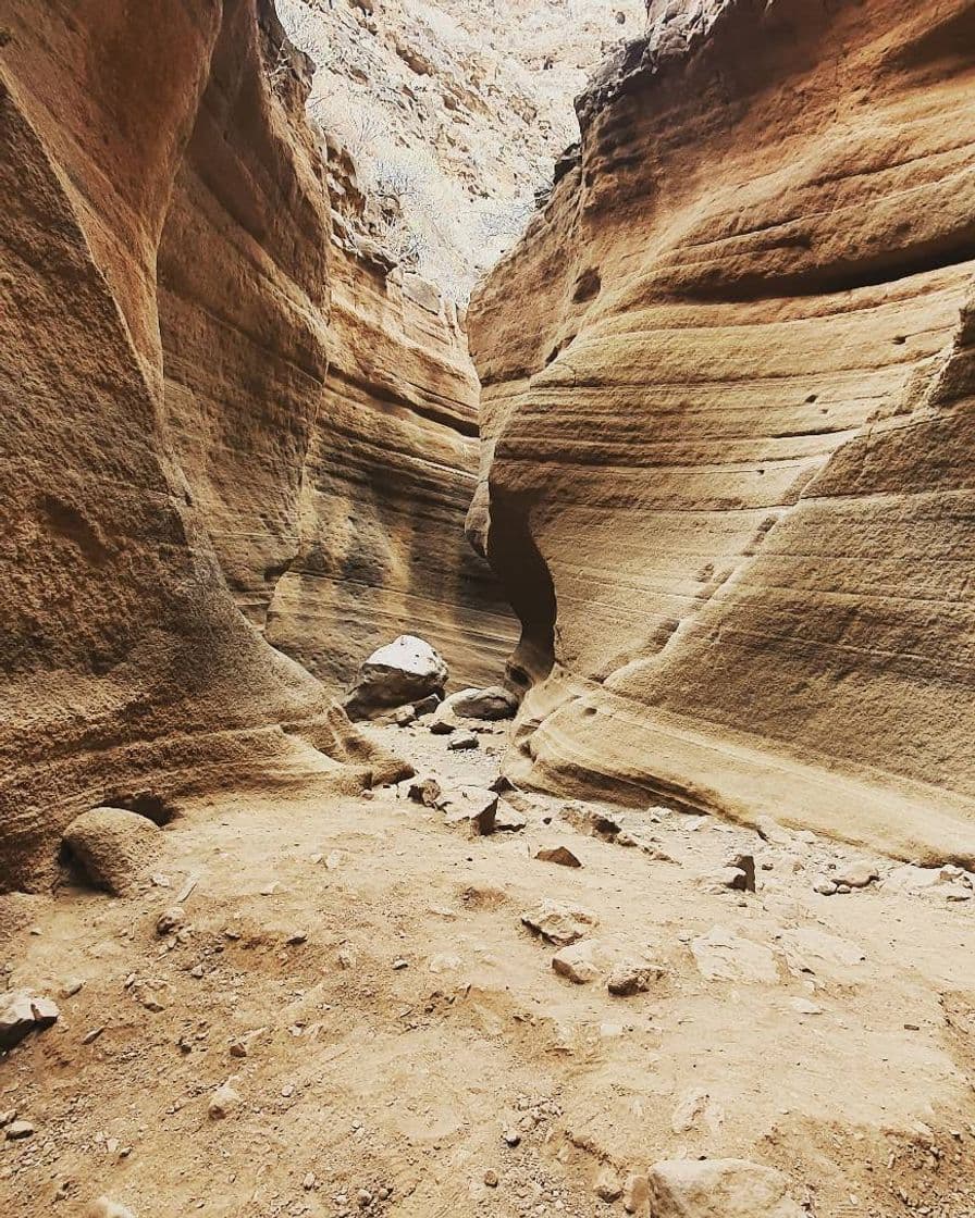 Place Barranco de Las Vacas - Local Guide Gran Canaria