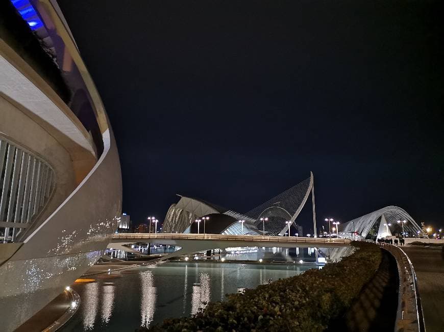 Lugar Ciudad de las Artes y las Ciencias