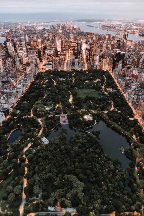 Place Central Park