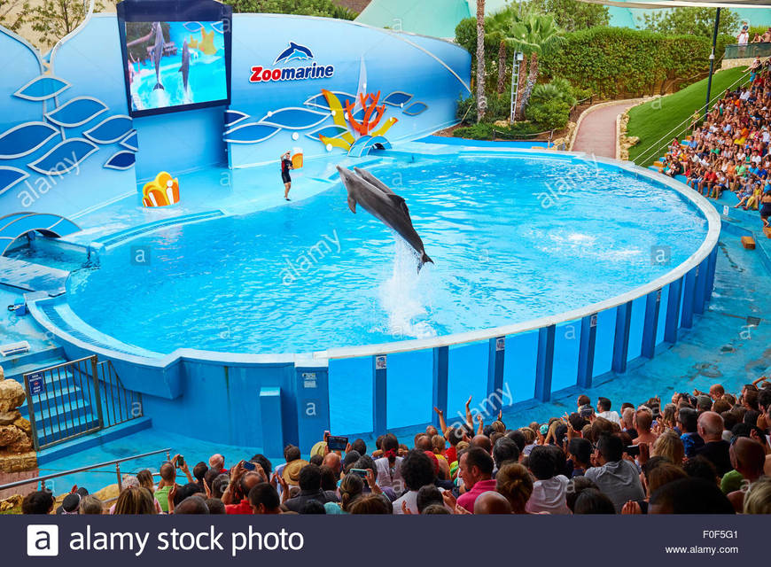 Fashion Zoomarine - Oceans of Fun - Water Theme Park, Amusements and ...