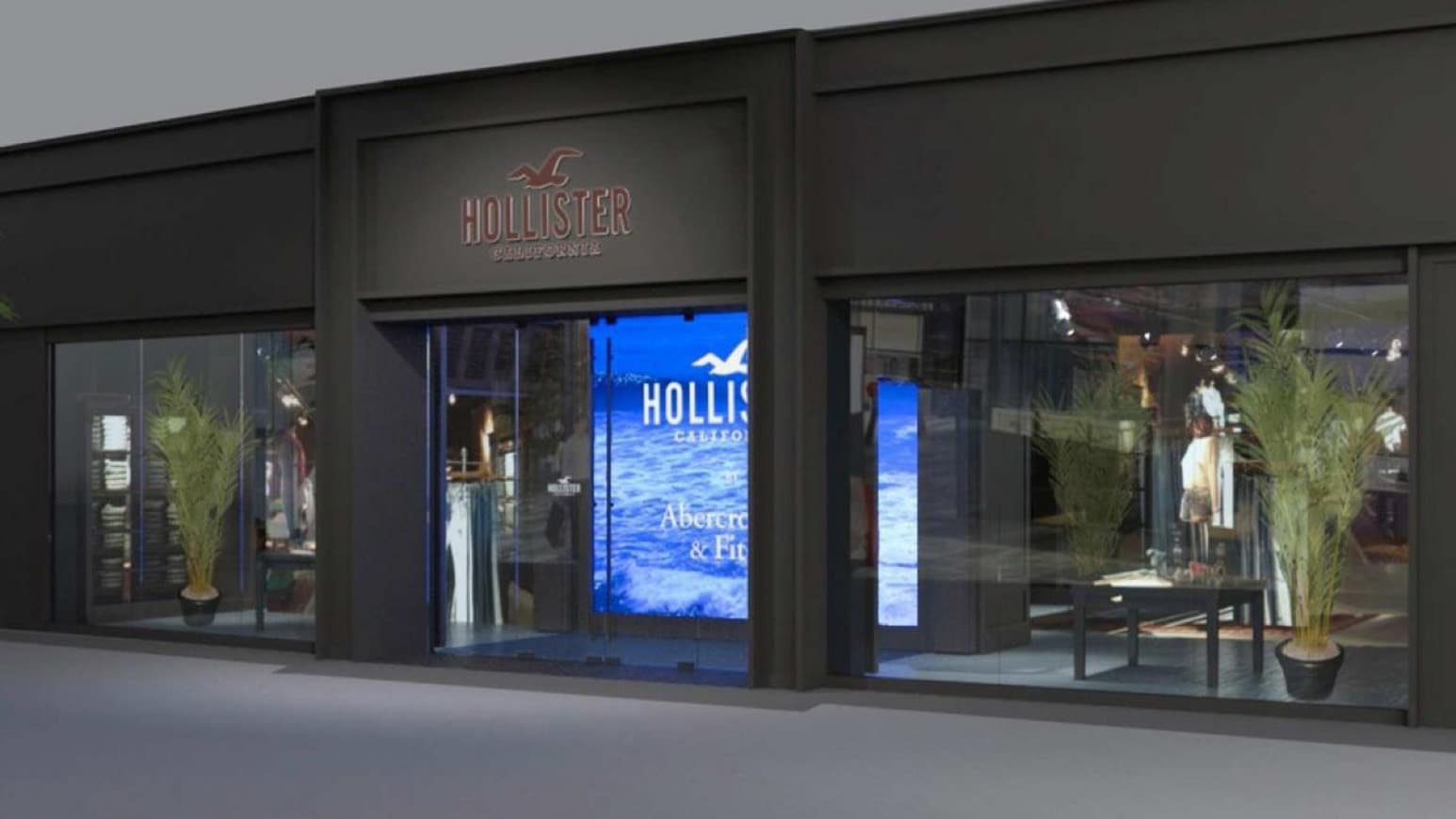 Moda Hollister Co.