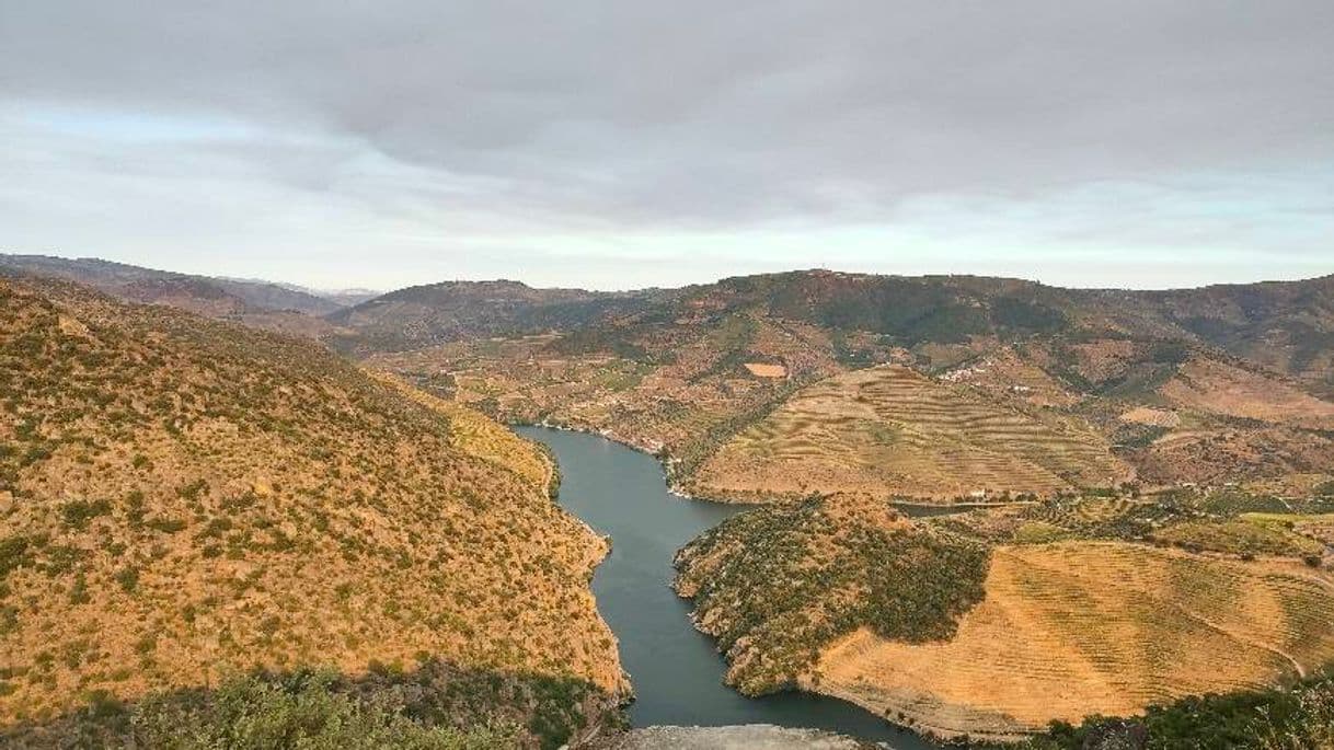 Lugar Vila Nova de Foz Côa