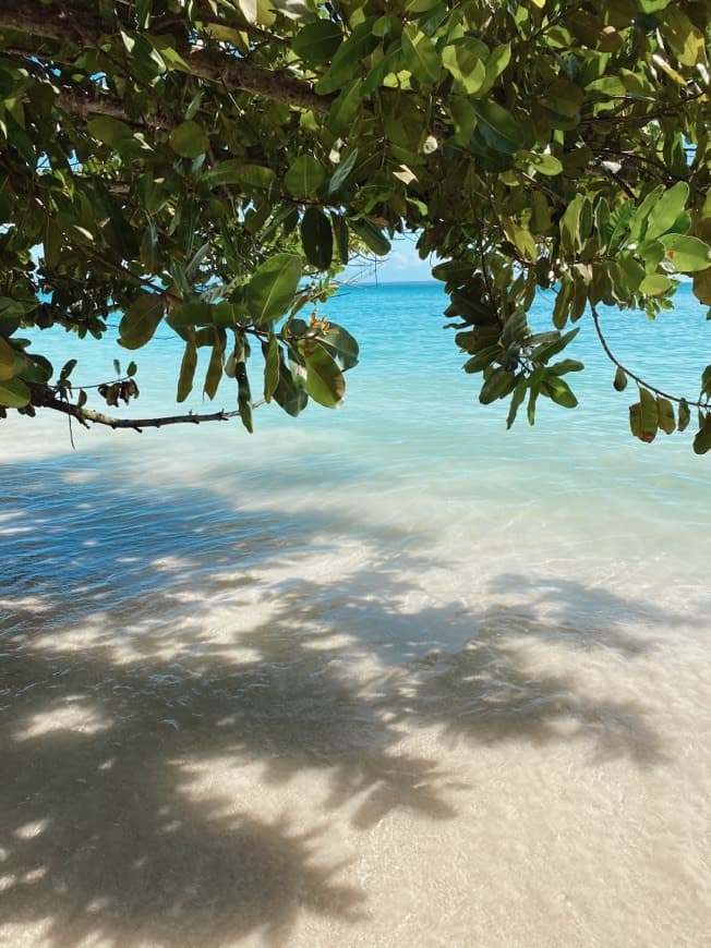 Lugar Bocas del Toro