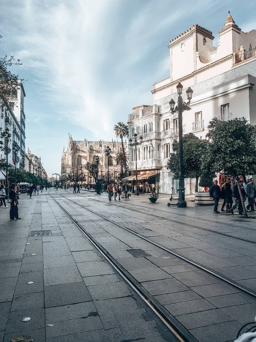 Lugar Avenida de la Constitución