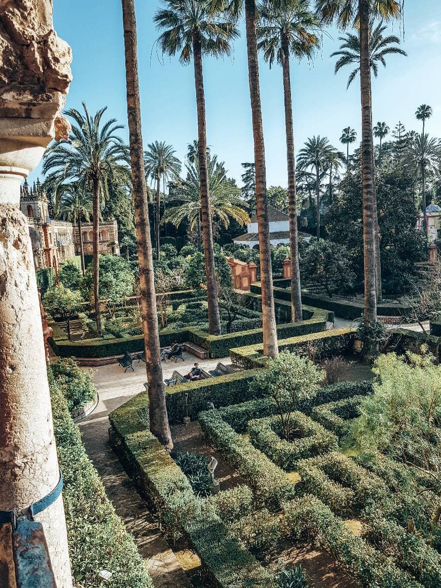 Lugar Real Alcázar de Sevilla