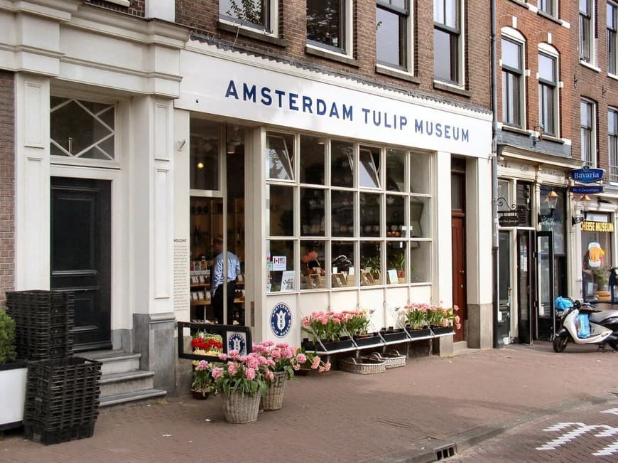 Lugar Amsterdam Tulip Museum