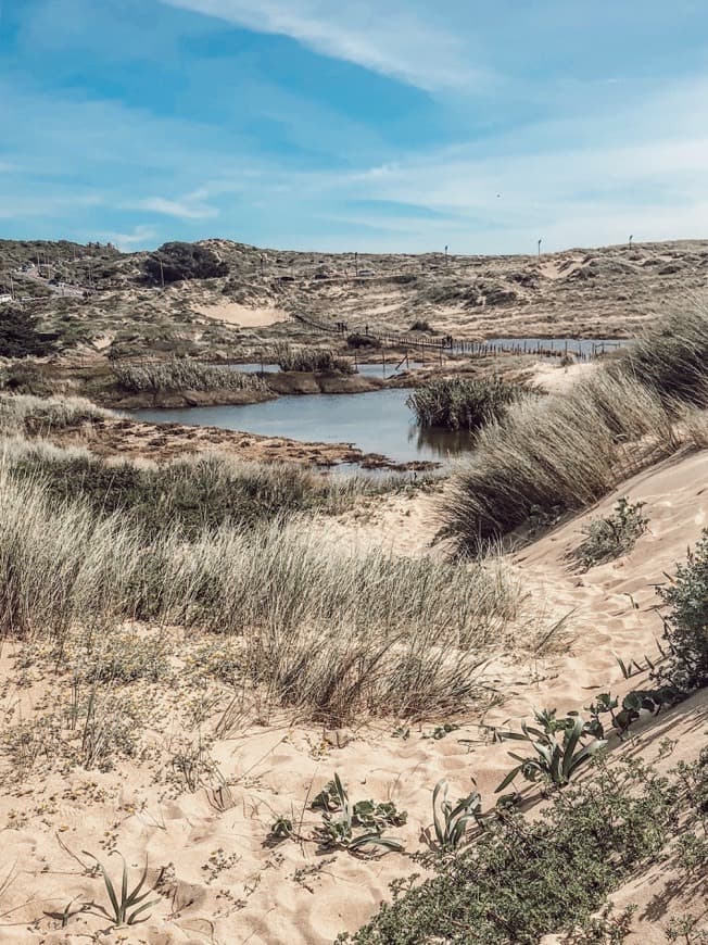 Place Guincho Beach Dunes