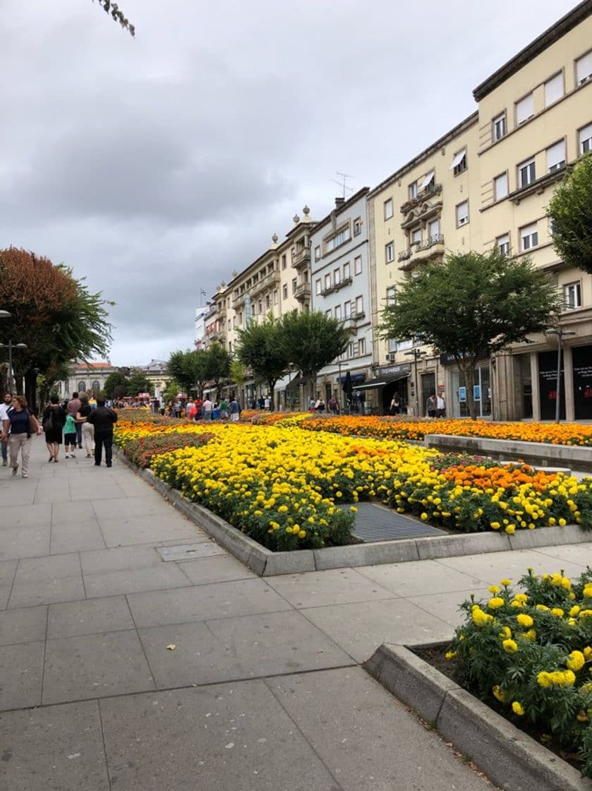 Lugar Avenida Central