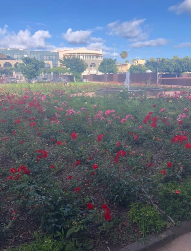 Place Las Palmas de Gran Canaria