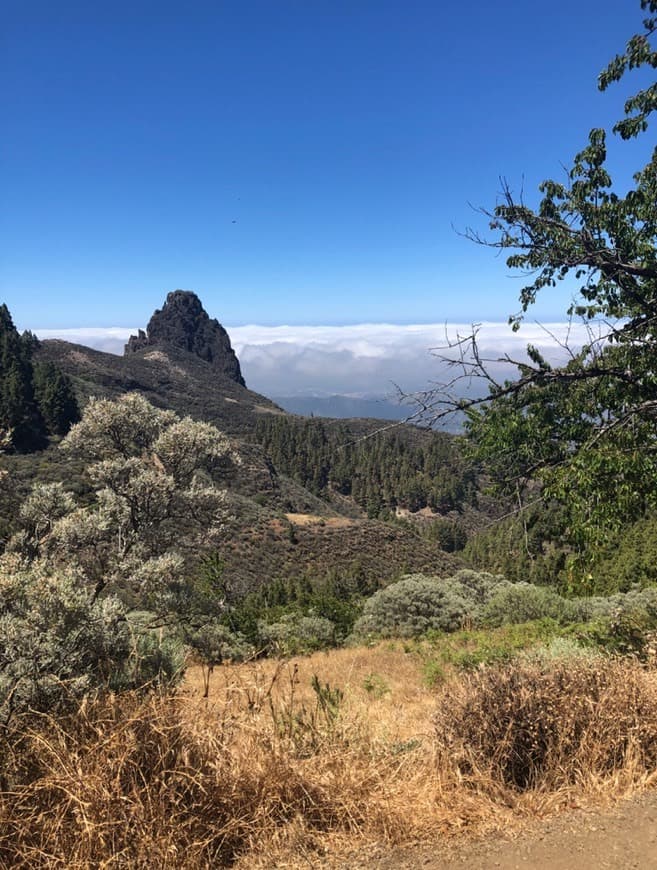 Place Valsequillo de Gran Canaria