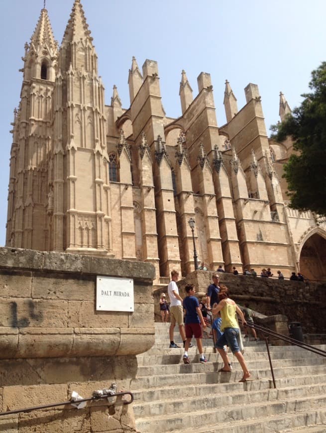 Place Catedral-Basílica de Santa María de Mallorca