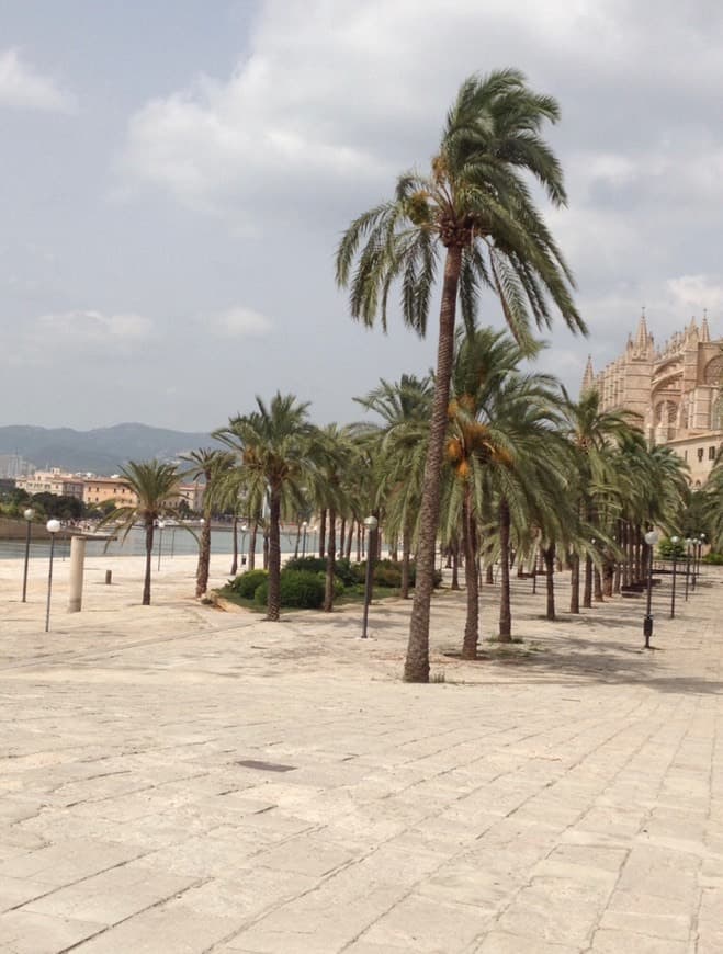 Place Palma