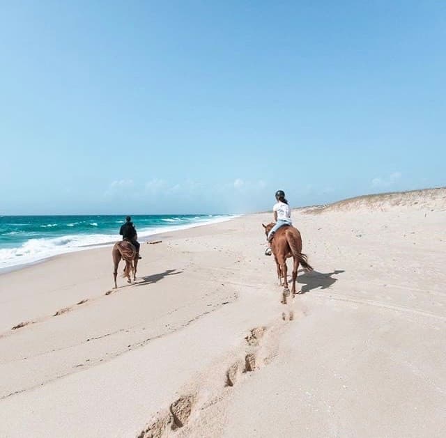 Fashion Cavalos na areia 