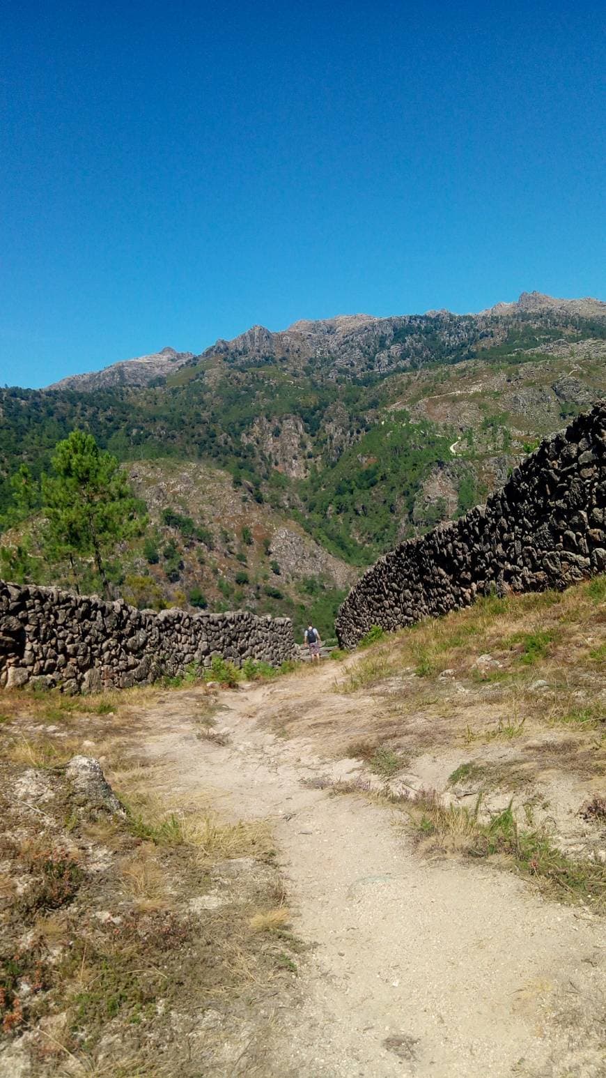 Lugar Fojo dos Lobos (Fafião)