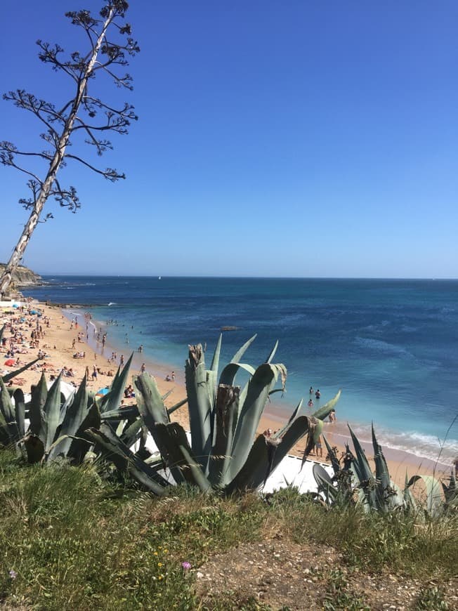 Place São Pedro do Estoril