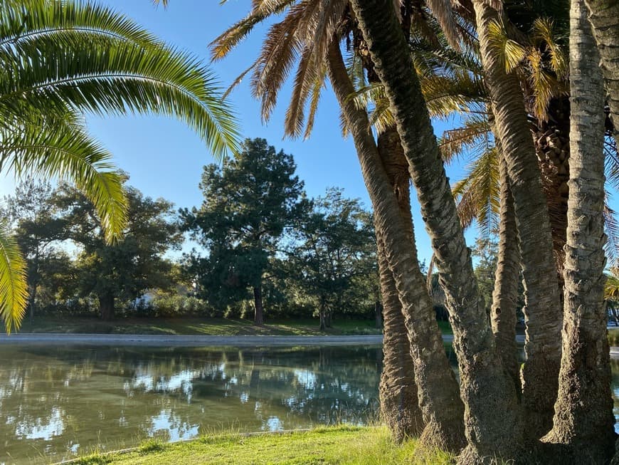 Lugar Jardim do Campo Grande