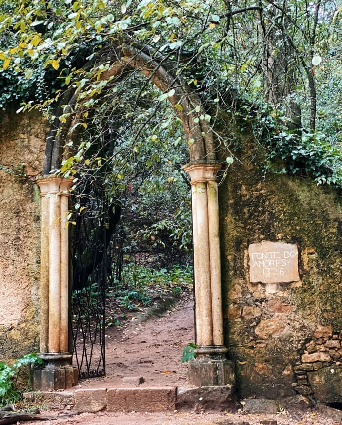 Lugar Jardins da Quinta das Lágrimas