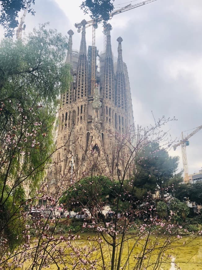 Lugar Basílica Sagrada Familia