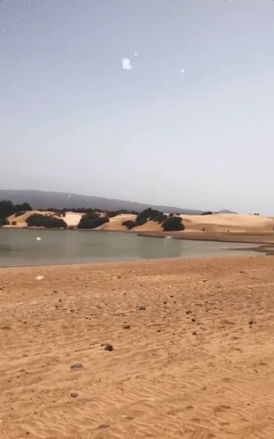 Place Dunas De Maspalomas