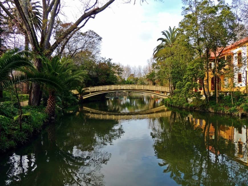 Place Parque da Macaca