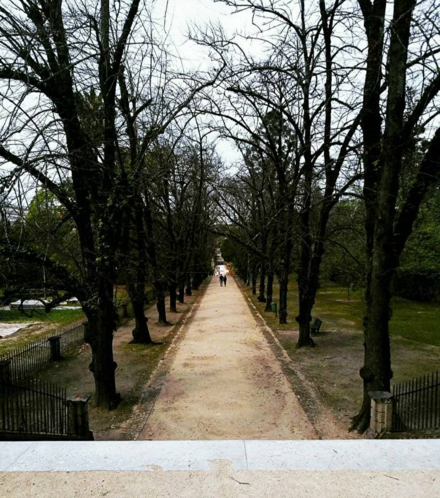 Place JARDIM BOTÂNICO