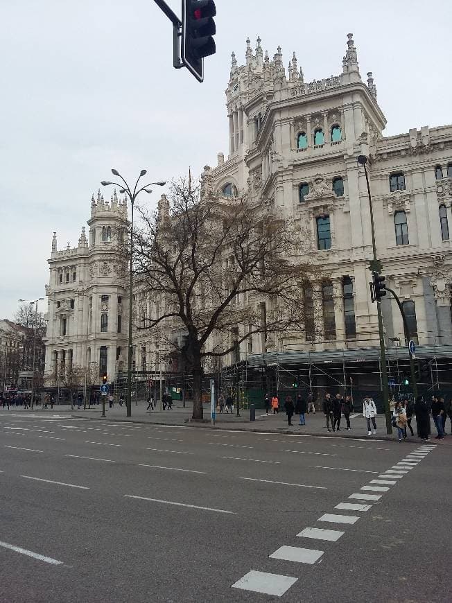 Place Plaza de Cibeles