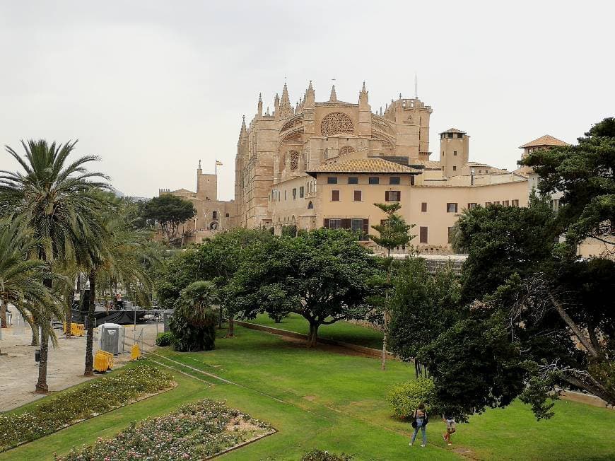 Place Catedral-Basílica de Santa María de Mallorca