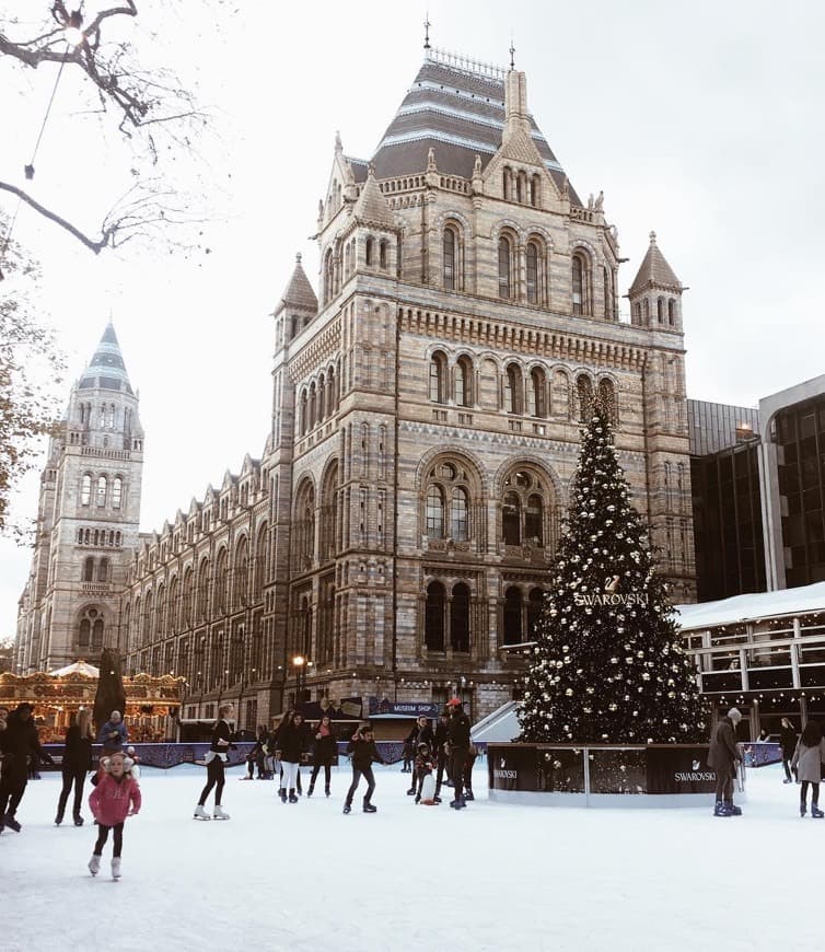 Place Natural History Museum