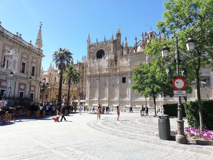 Place Catedral de Sevilla