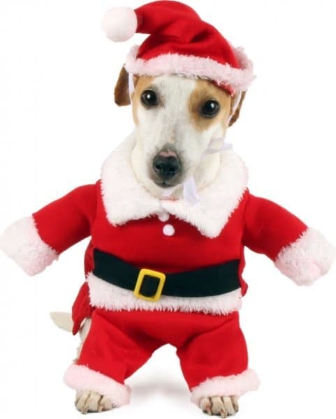 Producto Disfraz perro papá noel