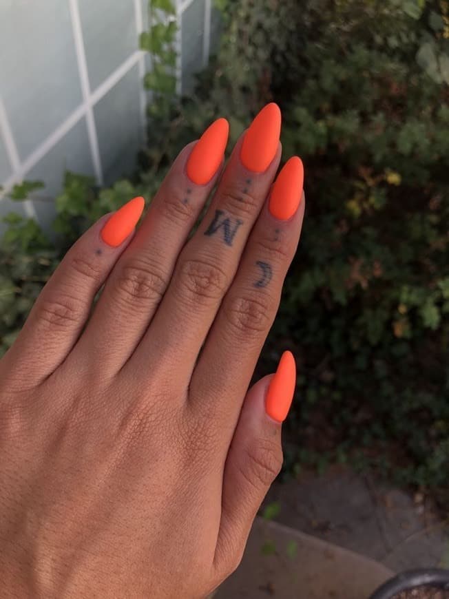 Fashion Orange 🧡