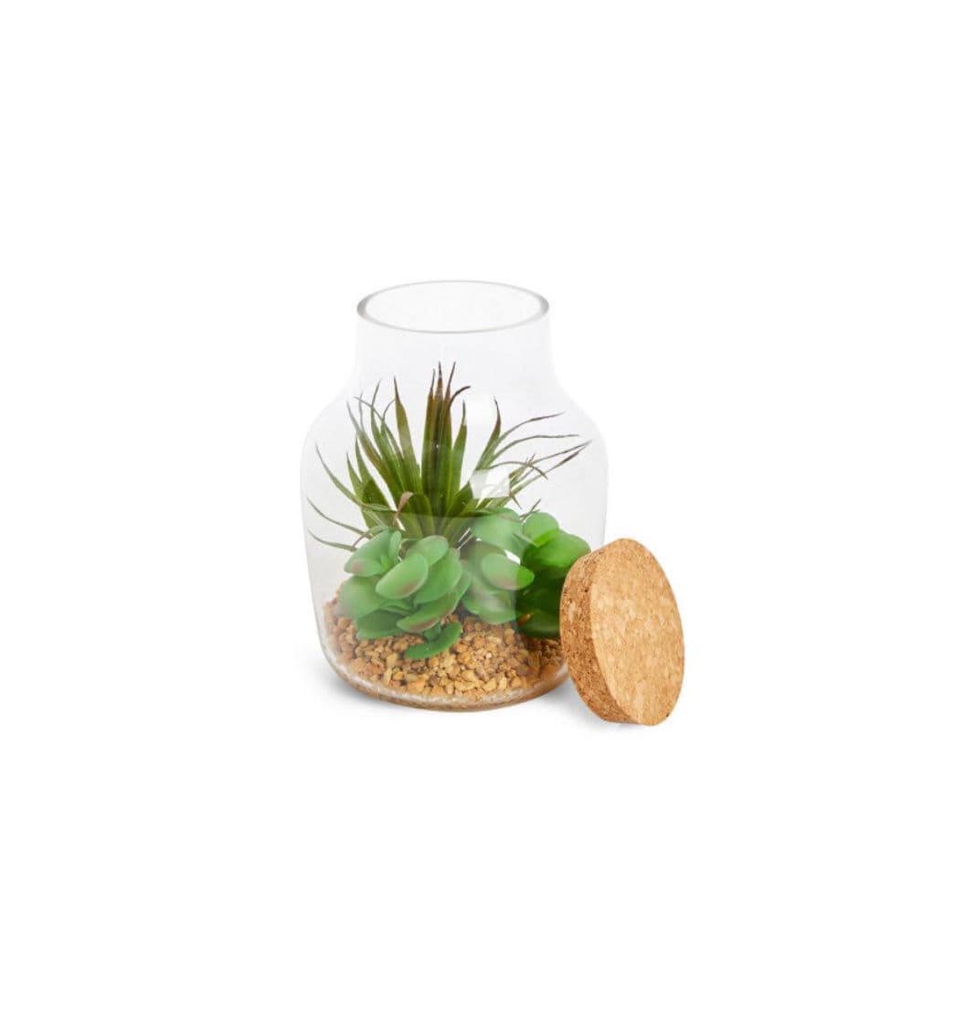 Producto Terrário vidro 