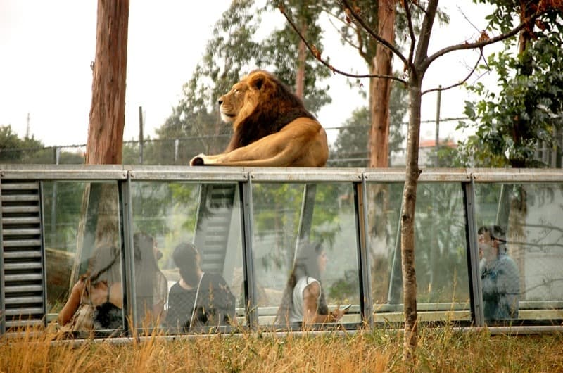 Lugar Jardim Zoológico