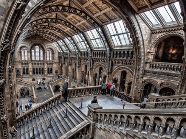 Place Natural History Museum