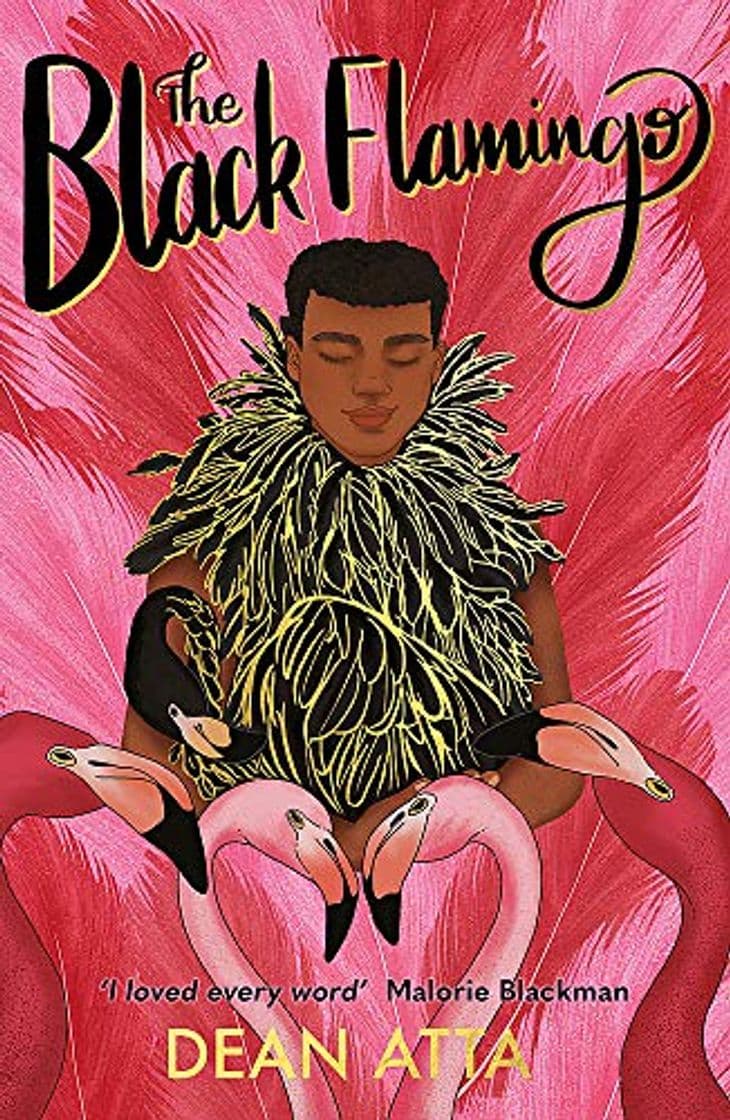 Book Black Flamingo