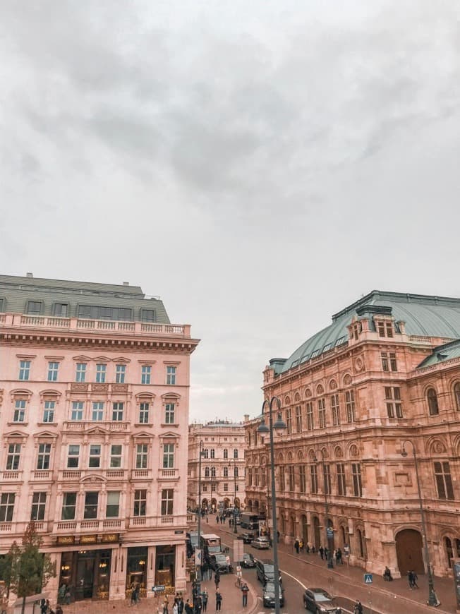 Place Vienna Operahouse