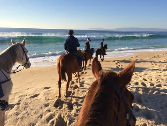 Place Cavalos na Areia