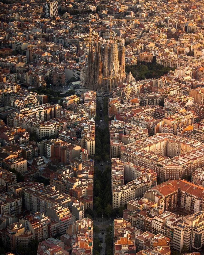 Place Barcelona