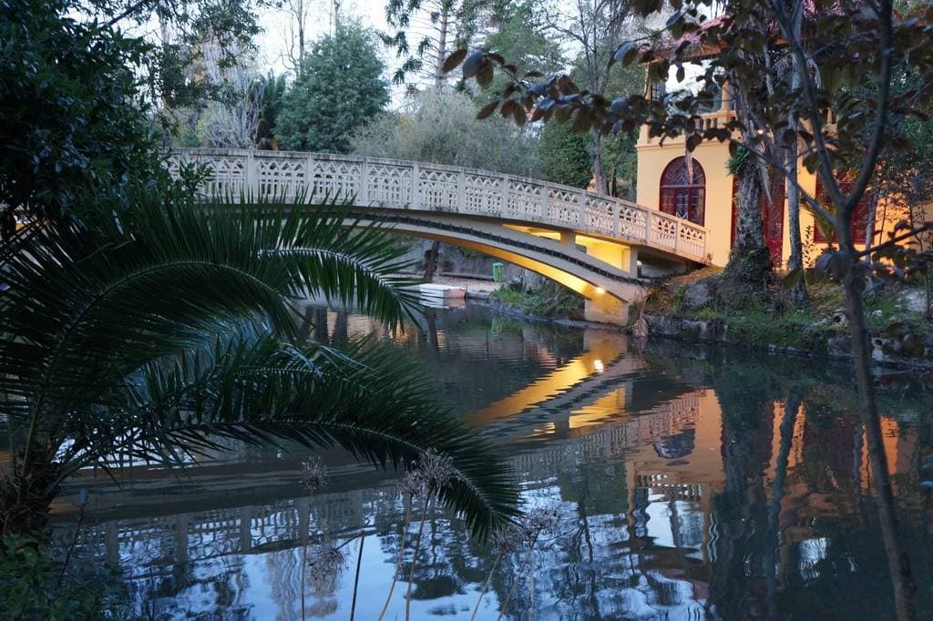 Place Parque da Macaca