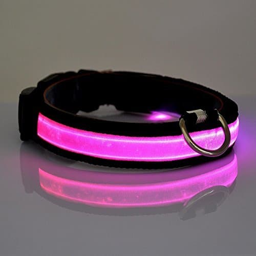 Place Vi.yo LED Collar de Perro Collar Reflectante con luz LED Collar Para