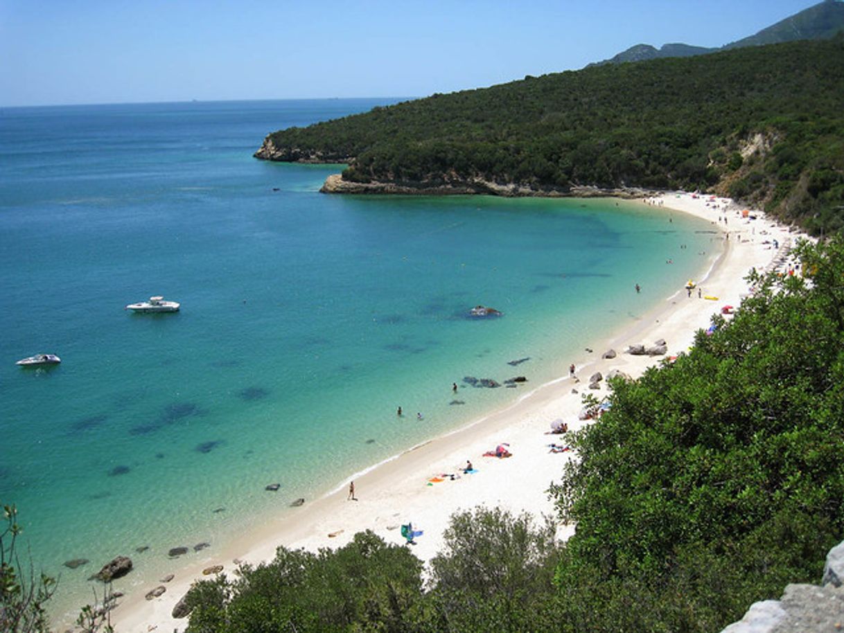 Lugar Praia dos Galapinhos