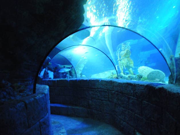 Lugar SEA LIFE Porto