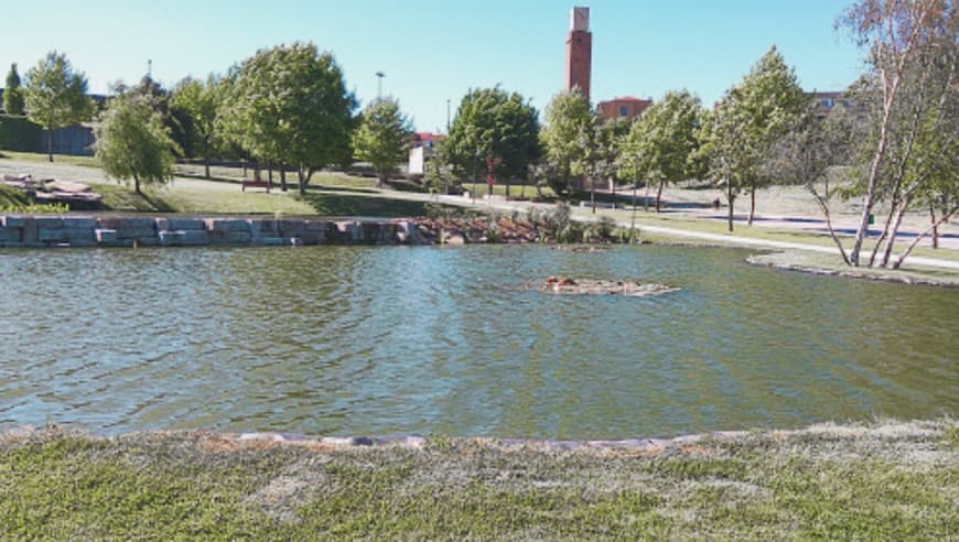 Place Parque da Cidade de Fafe