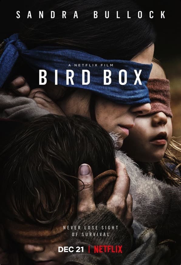 Movie Bird Box