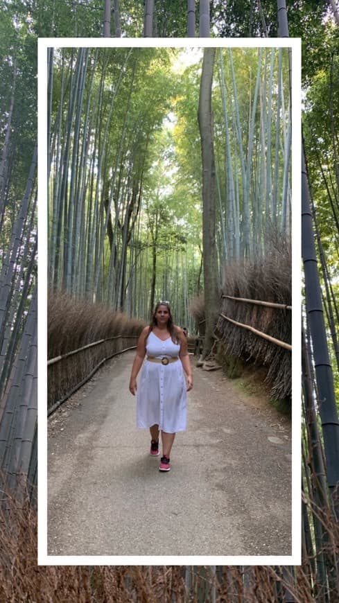 Place Bamboo forest