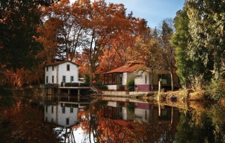 Lugar Vizela Parque Das Termas