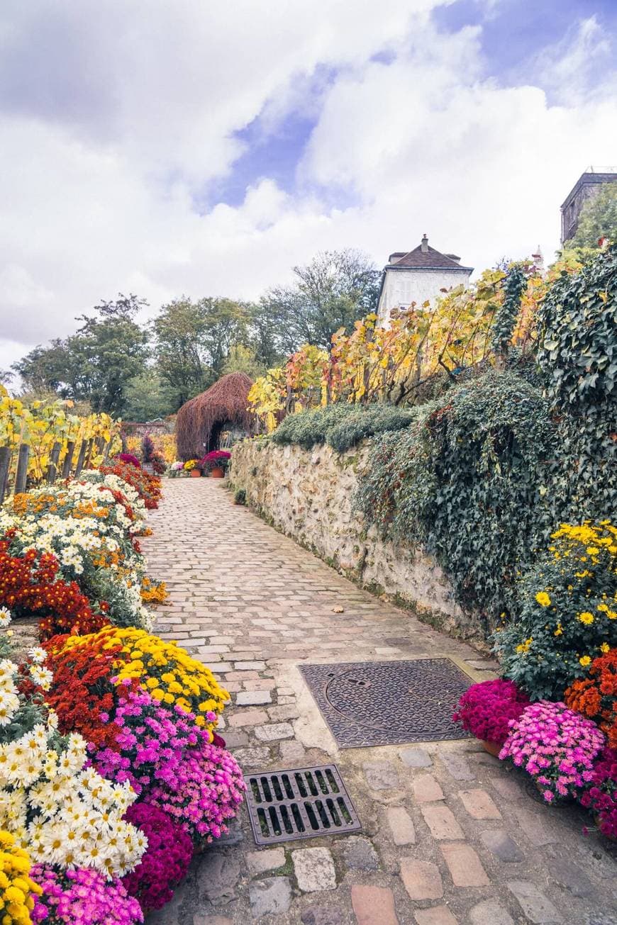 Lugar Vignes du Clos Montmartre