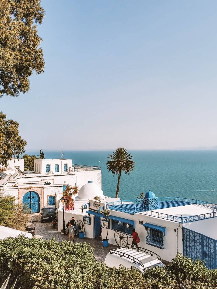 Lugar Sidi Bou Said