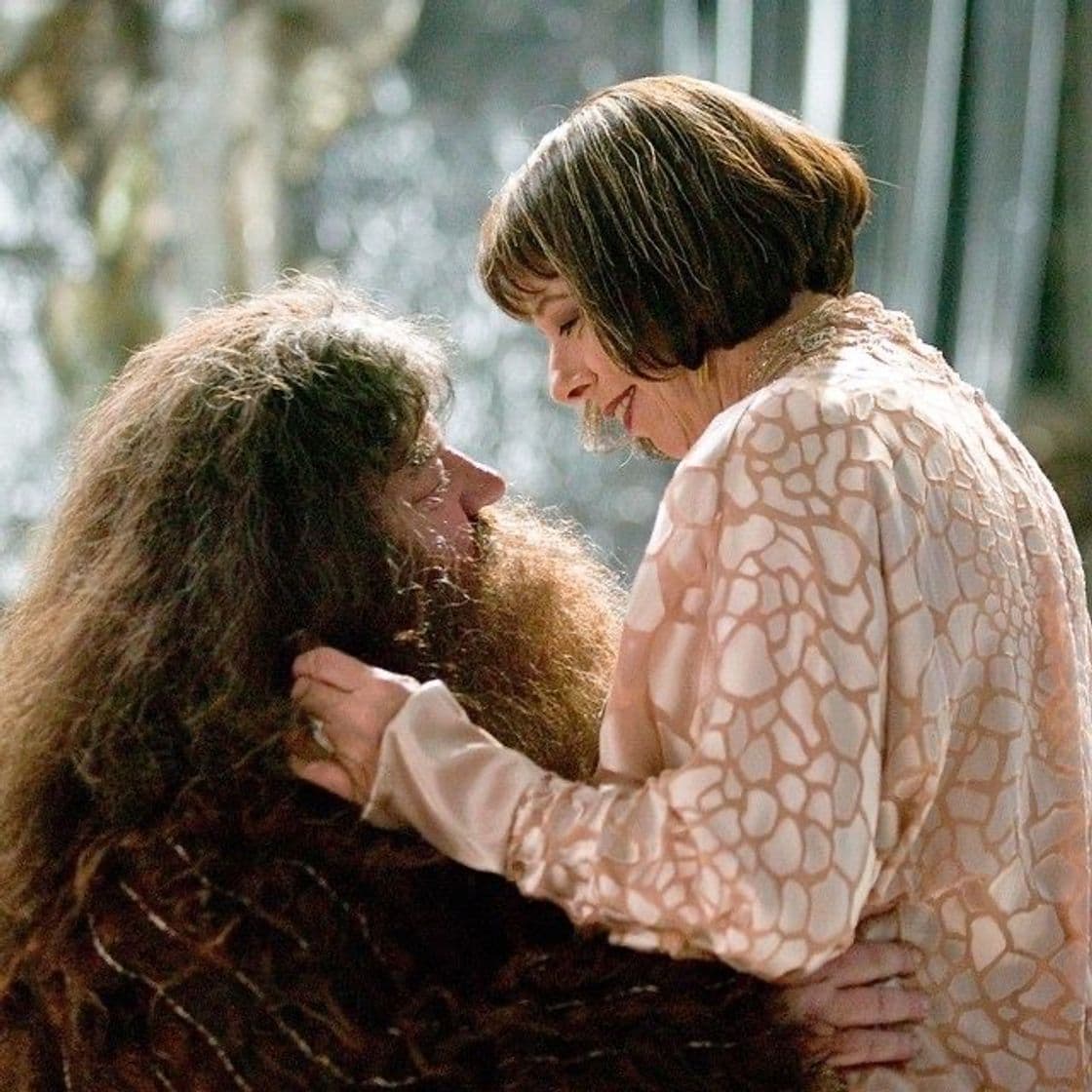 Moda Hagrid and Madame Maxime