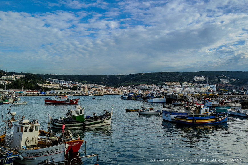 Place Porto de Pesca de Setúbal